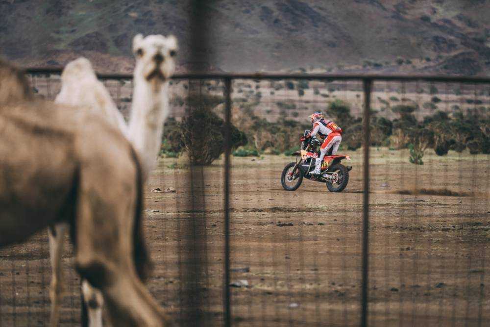 Dakar 2023 : Daniel Sanders : « J’ai ralenti pour ne pas ouvrir la route demain »